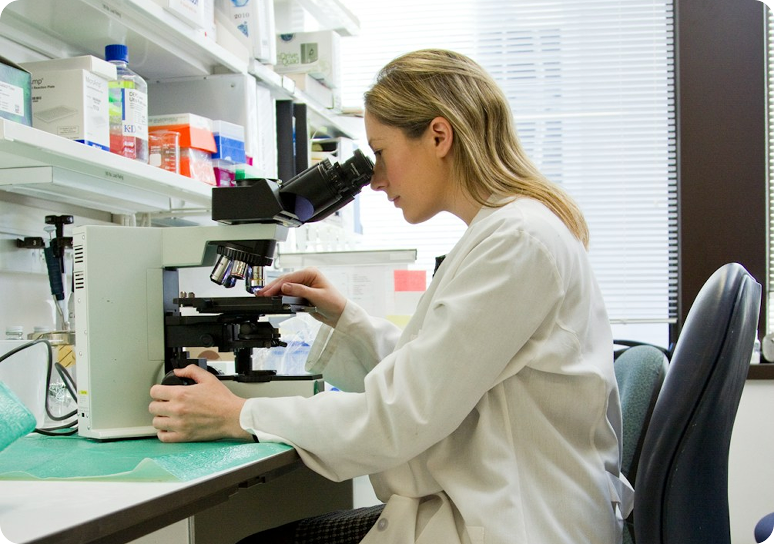 A Healthcare professional looking at a microscope